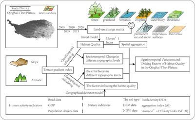 Spatiotemporal evolution characteristics and the driving force of habitat quality in the Qinghai–Tibet Plateau in topographic view (2000–2020)